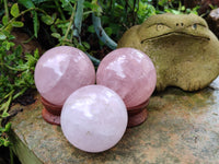 Polished Rose Quartz Spheres x 3 From Ambatondrazaka, Madagascar