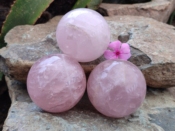 Polished Rose Quartz Spheres x 3 From Ambatondrazaka, Madagascar