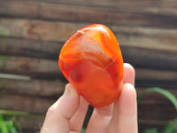 Polished Carnelian Standing Free Forms x 4 From Madagascar