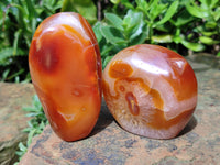 Polished Carnelian Standing Free Forms x 4 From Madagascar