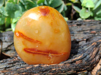 Polished Carnelian Standing Free Forms x 4 From Madagascar