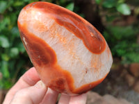 Polished Carnelian Standing Free Forms x 4 From Madagascar