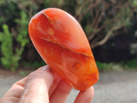 Polished Carnelian Standing Free Forms x 4 From Madagascar