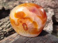 Polished Carnelian Standing Free Forms x 4 From Madagascar