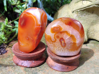 Polished Carnelian Standing Free Forms x 4 From Madagascar