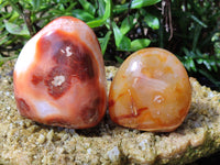 Polished Carnelian Standing Free Forms x 4 From Madagascar