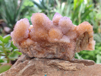 Natural Ametrine Spirit Quartz Clusters x 2 From Boekenhouthoek, South Africa