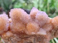 Natural Ametrine Spirit Quartz Clusters x 2 From Boekenhouthoek, South Africa