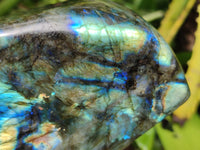 Polished Labradorite Standing Free Forms x 2 From Tulear, Madagascar