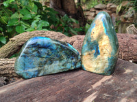 Polished Labradorite Standing Free Forms x 2 From Tulear, Madagascar