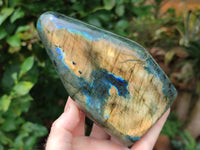 Polished Labradorite Standing Free Forms x 2 From Tulear, Madagascar