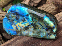 Polished Labradorite Standing Free Forms x 2 From Tulear, Madagascar