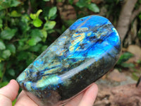 Polished Labradorite Standing Free Forms x 2 From Tulear, Madagascar