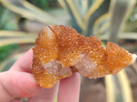 Natural Golden Solar Spirit Quartz Crystals x 20 From Boekenhouthoek, South Africa