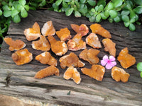 Natural Golden Solar Spirit Quartz Crystals x 20 From Boekenhouthoek, South Africa