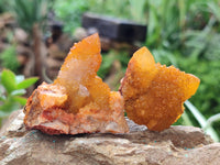 Natural Golden Solar Spirit Quartz Crystals x 20 From Boekenhouthoek, South Africa