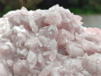 Natural Rare Rhodocalcite Specimen x 1 From Mashamba West, Congo