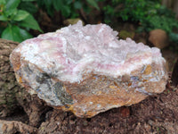 Natural Rare Rhodocalcite Specimen x 1 From Mashamba West, Congo