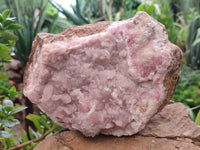 Natural Rare Rhodocalcite Specimen x 1 From Mashamba West, Congo