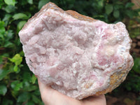 Natural Rare Rhodocalcite Specimen x 1 From Mashamba West, Congo