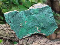 Natural Botryoidal Malachite Specimens x 3 From Tenke Fungurume, Congo