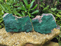 Natural Botryoidal Malachite Specimens x 3 From Tenke Fungurume, Congo