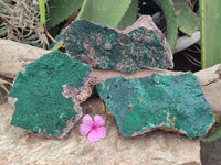 Natural Botryoidal Malachite Specimens x 3 From Tenke Fungurume, Congo