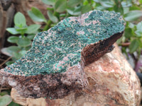 Natural Botryoidal Malachite Specimens x 3 From Tenke Fungurume, Congo