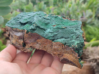 Natural Botryoidal Malachite Specimens x 3 From Tenke Fungurume, Congo