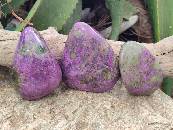 Polished Stichtite Standing Free Forms x 3 From Barberton, South Africa