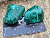 Polished Malacolla Free Forms x 12 From Kalukundi Mine, Congo