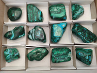 Polished Malacolla Free Forms x 12 From Kalukundi Mine, Congo