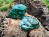 Polished Malacolla Free Forms x 12 From Kalukundi Mine, Congo