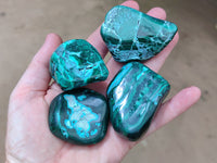 Polished Malacolla Free Forms x 12 From Kalukundi Mine, Congo