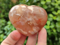 Polished Fossil Flower Agate Hearts x 8 From Antsahalova, Madagascar