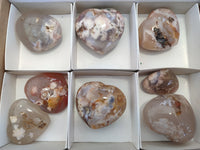 Polished Fossil Flower Agate Hearts x 8 From Antsahalova, Madagascar