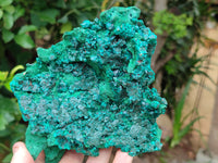 Natural Silky Malachite Specimen With Dioptase and Cuprite x 1 From Kolwezi, Congo