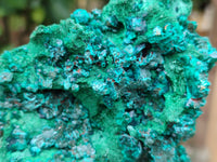 Natural Silky Malachite Specimen With Dioptase and Cuprite x 1 From Kolwezi, Congo