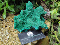 Natural Silky Malachite Specimen With Dioptase and Cuprite x 1 From Kolwezi, Congo