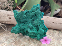 Natural Silky Malachite Specimen With Dioptase and Cuprite x 1 From Kolwezi, Congo