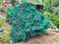 Natural Silky Malachite Specimen With Dioptase and Cuprite x 1 From Kolwezi, Congo