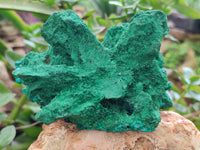 Natural Silky Malachite Specimen With Dioptase and Cuprite x 1 From Kolwezi, Congo