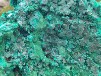 Natural Silky Malachite Specimen With Dioptase and Cuprite x 1 From Kolwezi, Congo