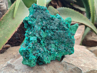 Natural Silky Malachite Specimen With Dioptase and Cuprite x 1 From Kolwezi, Congo