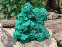 Natural Silky Malachite Specimen With Dioptase and Cuprite x 1 From Kolwezi, Congo