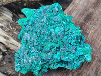 Natural Silky Malachite Specimen With Dioptase and Cuprite x 1 From Kolwezi, Congo