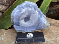 Natural Blue Lace Agate Geode Specimens x 2 From Malawi