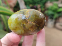 Polished Green Opal Galet - Palm Stones x 15 From Antsirabe, Madagascar