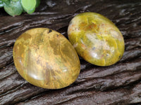 Polished Green Opal Galet - Palm Stones x 15 From Antsirabe, Madagascar