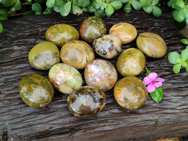 Polished Green Opal Galet - Palm Stones x 15 From Antsirabe, Madagascar